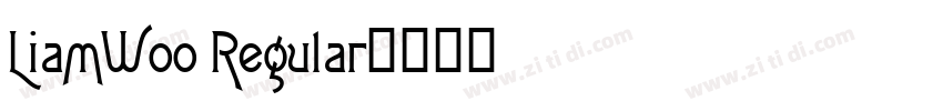 LiamW00 Regular字体转换